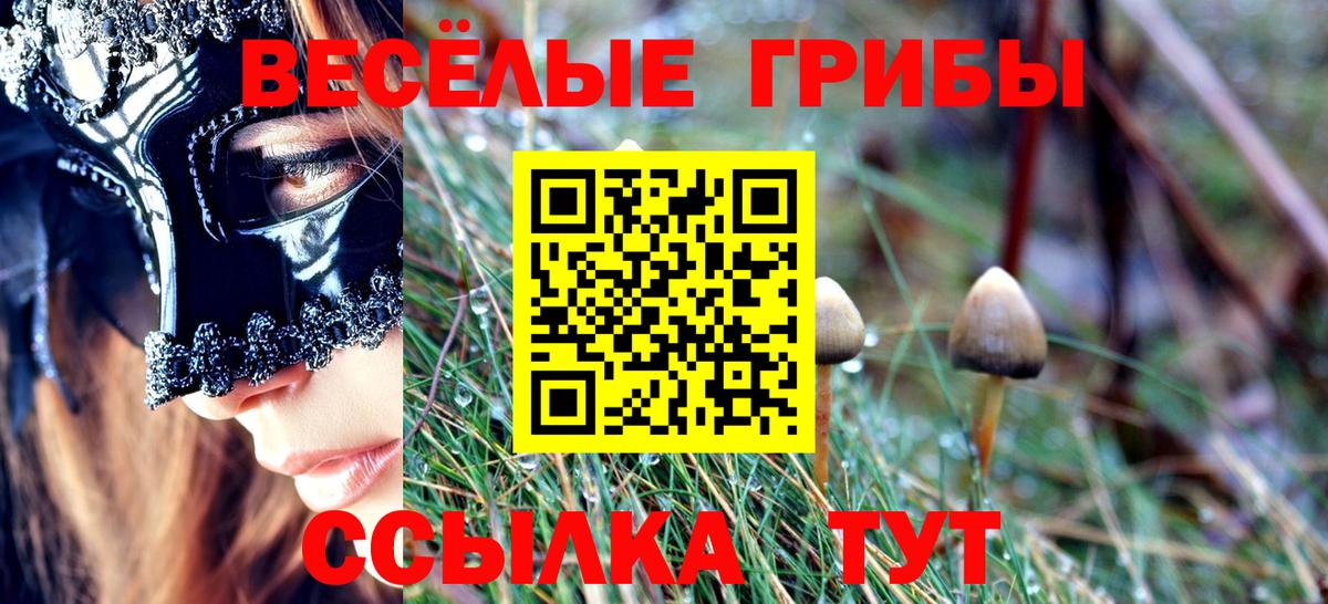 Псилоцибиновые грибы мицелий Воронеж