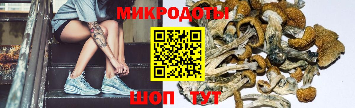 Псилоцибиновые грибы Psilocybine cubensis  Псилоцибиновые грибы Psilocybine cubensis  Вход с VPN  Воронеж 